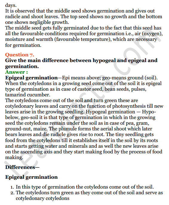 Selina Concise Biology Class 6 ICSE Solutions Chapter 2 The Flower 13