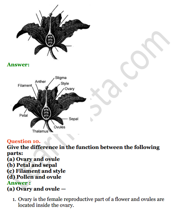 Selina Concise Biology Class 6 ICSE Solutions Chapter 2 The Flower 15