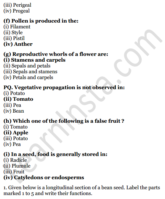 Selina Concise Biology Class 6 ICSE Solutions Chapter 2 The Flower 2