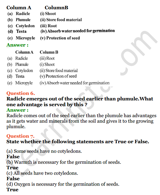 Selina Concise Biology Class 6 ICSE Solutions Chapter 2 The Flower 5