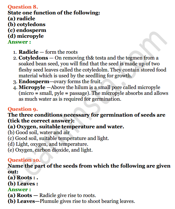 Selina Concise Biology Class 6 ICSE Solutions Chapter 2 The Flower 6