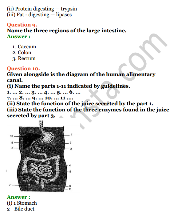Selina Concise Biology Class 6 ICSE Solutions Chapter 4 Digestive System 5