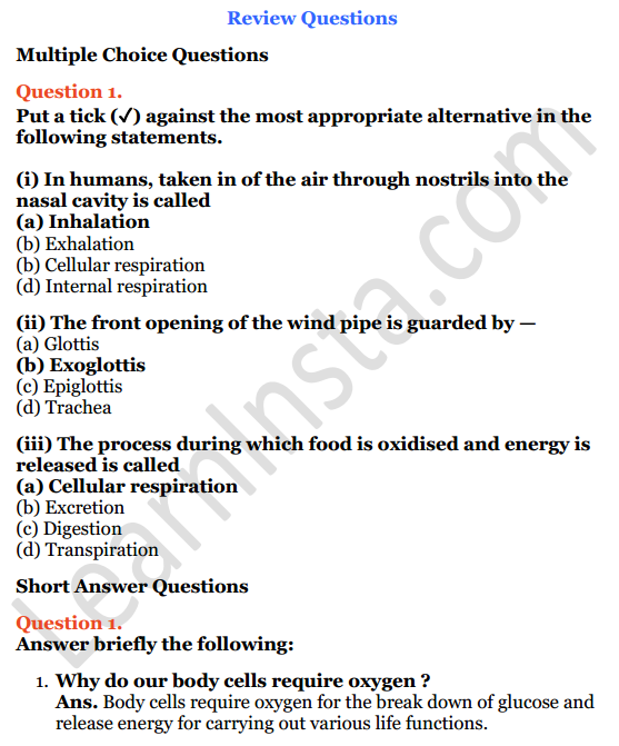 Selina Concise Biology Class 6 ICSE Solutions Chapter 5 Respiratory System 1