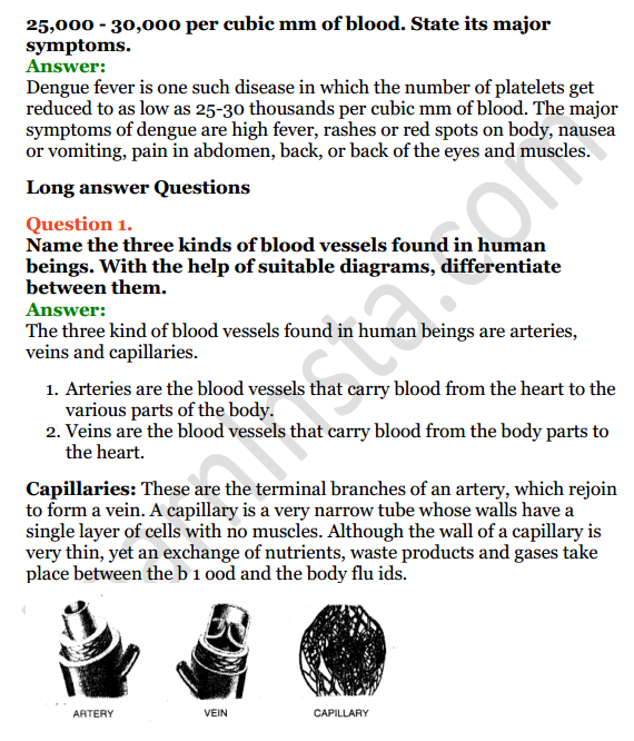 Selina Concise Biology Class 6 ICSE Solutions Chapter 6 The Circulatory System 6