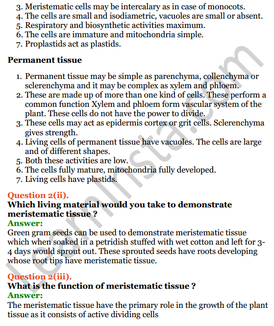 Selina Concise Biology Class 7 ICSE Solutions Chapter 1 Plant And Animal Tissues 3