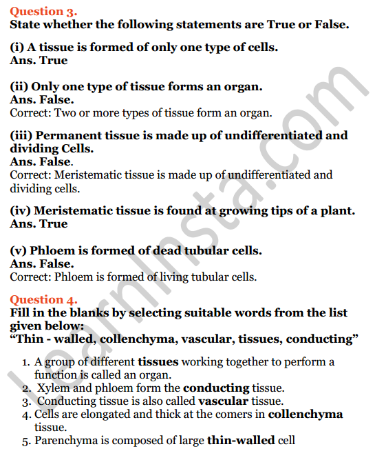 Selina Concise Biology Class 7 ICSE Solutions Chapter 1 Plant And Animal Tissues 4