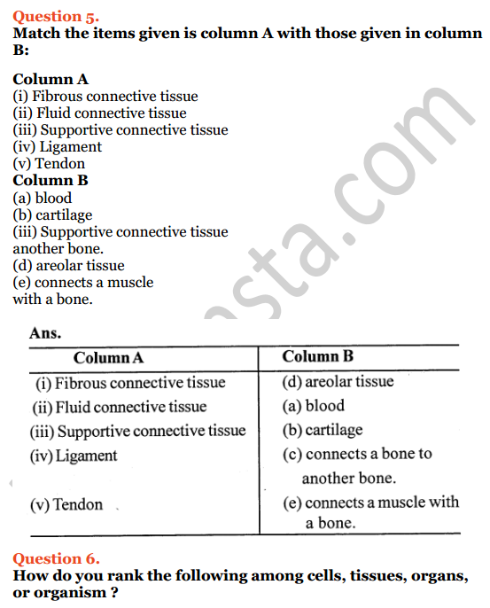 Selina Concise Biology Class 7 ICSE Solutions Chapter 1 Plant And Animal Tissues 5