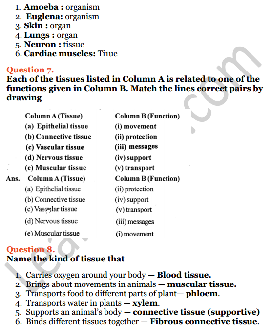 Selina Concise Biology Class 7 ICSE Solutions Chapter 1 Plant And Animal Tissues 6