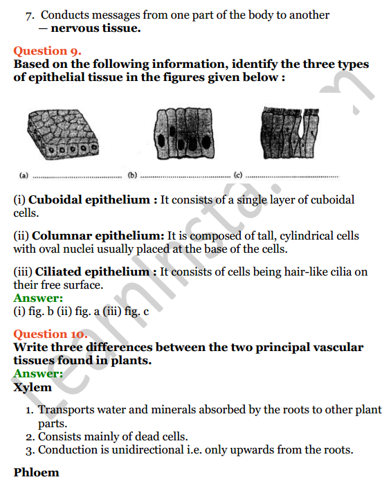 Selina Concise Biology Class 7 ICSE Solutions Chapter 1 Plant And Animal Tissues 7