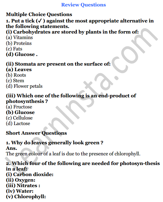 photosynthesis class 7 icse notes