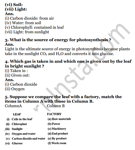 Selina Concise Biology Class 7 ICSE Solutions Chapter 4 Photosynthesis and Respiration 2
