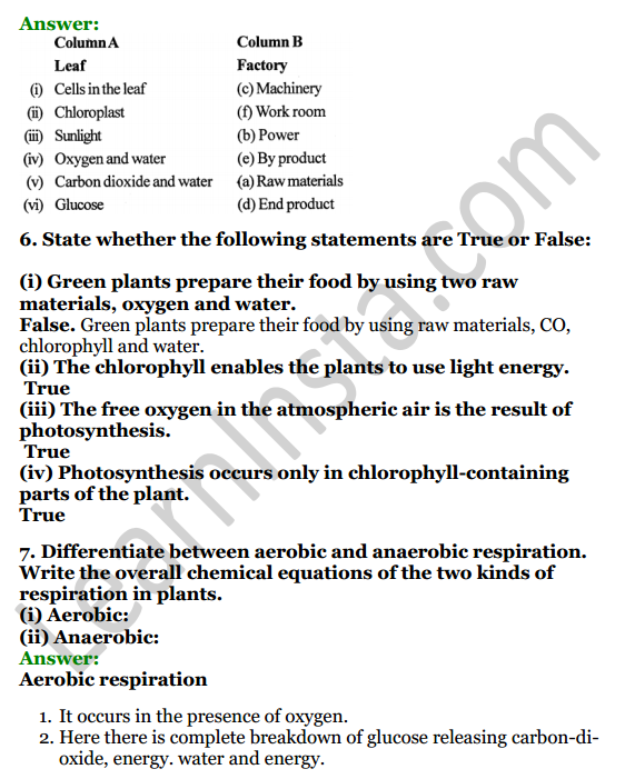 Selina Concise Biology Class 7 ICSE Solutions Chapter 4 Photosynthesis and Respiration 3