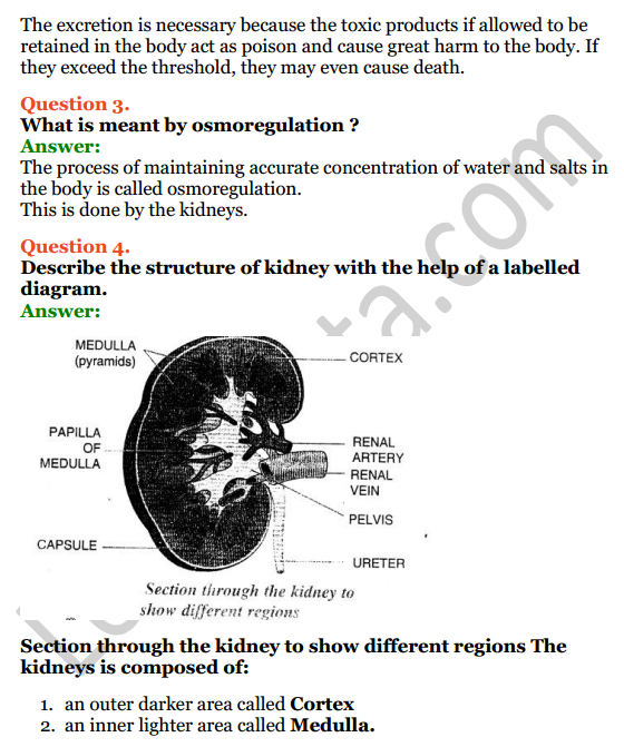 Selina Concise Biology Class 7 ICSE Solutions Chapter 5 Excretion in Humans 4