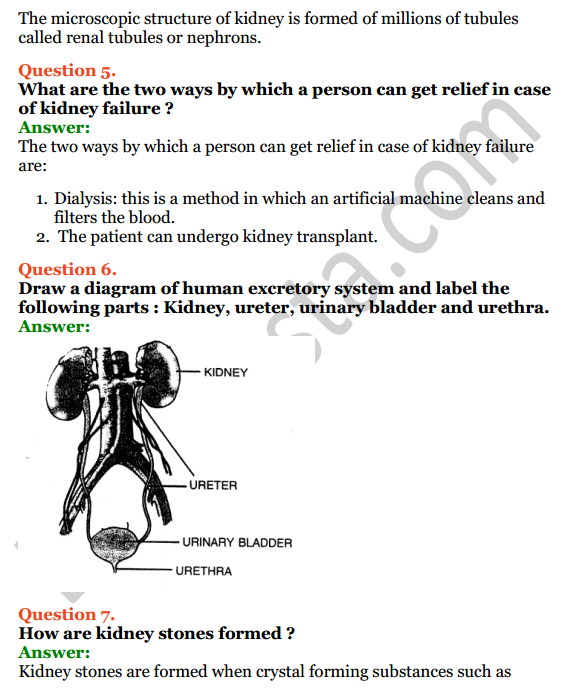 Selina Concise Biology Class 7 ICSE Solutions Chapter 5 Excretion in Humans 5