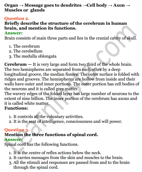 Selina Concise Biology Class 7 ICSE Solutions Chapter 6 Nervous System 4