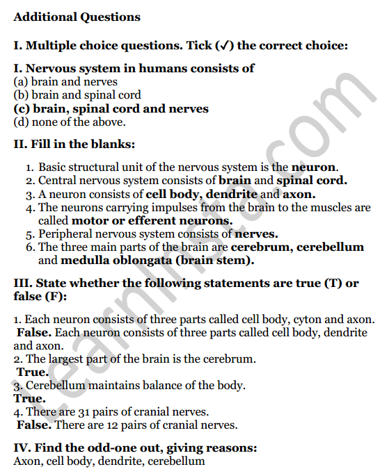 Selina Concise Biology Class 7 ICSE Solutions Chapter 6 Nervous System 6