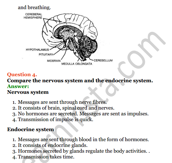 Selina Concise Biology Class 7 ICSE Solutions Chapter 6 Nervous System 9