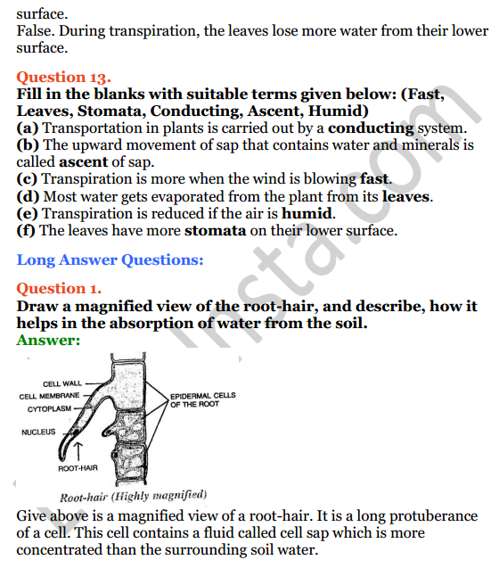 Selina Concise Biology Class 8 ICSE Solutions Chapter 1 Transportation in Plants 11