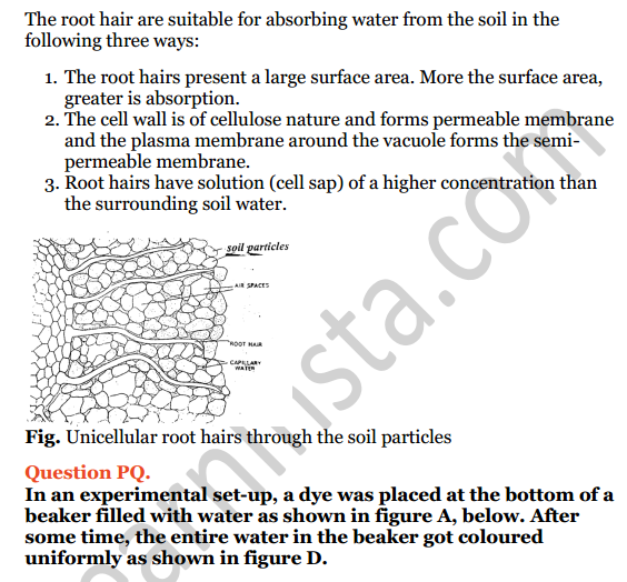 Selina Concise Biology Class 8 ICSE Solutions Chapter 1 Transportation in Plants 6