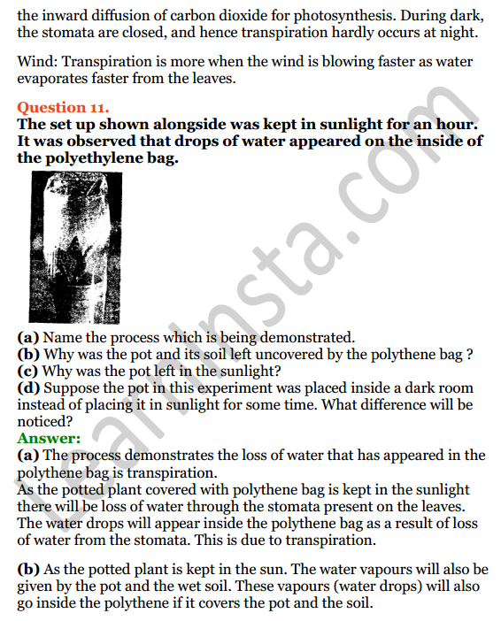 Selina Concise Biology Class 8 ICSE Solutions Chapter 1 Transportation in Plants 9
