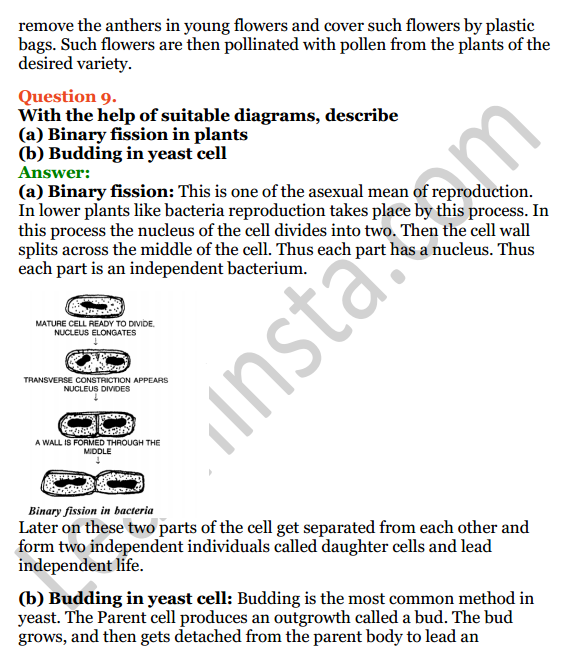 Selina Concise Biology Class 8 ICSE Solutions Chapter 2 Reproduction in Plants 10