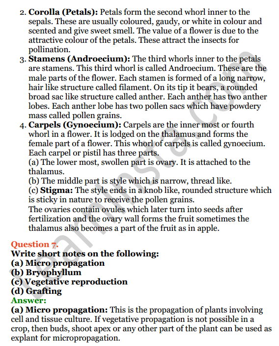 Selina Concise Biology Class 8 ICSE Solutions Chapter 2 Reproduction in Plants 7