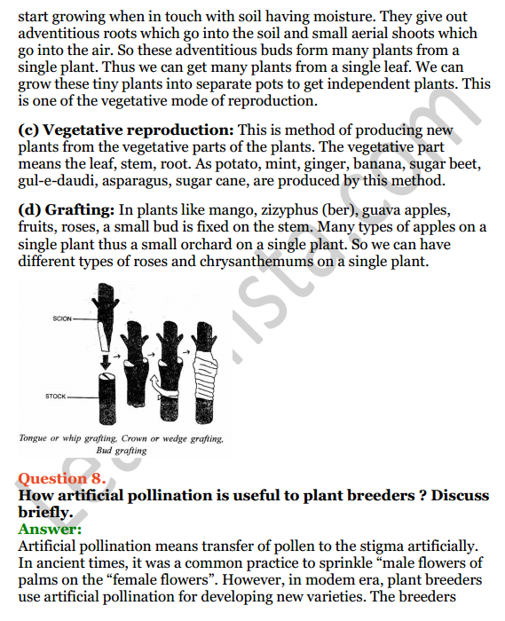 Selina Concise Biology Class 8 ICSE Solutions Chapter 2 Reproduction in Plants 9