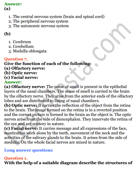 Selina Concise Biology Class 8 ICSE Solutions Chapter 7 Nervous System 4