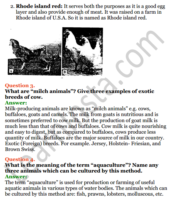 Selina Concise Biology Class 8 ICSE Solutions Chapter 9 Food Production 7