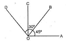 Selina Concise Mathematics Class 6 ICSE Solutions Chapter 24 Angles Ex 24A Q13