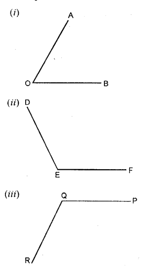 Selina Concise Mathematics Class 6 ICSE Solutions Chapter 25 Properties of Angles and Lines Ex 25C Q1