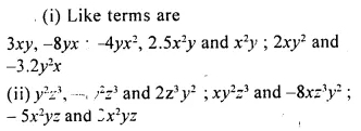 Selina Concise Mathematics Class 8 ICSE Solutions Chapter 11 Algebraic Expressions (Including Operations on Algebraic Expressions) Ex 11A 7