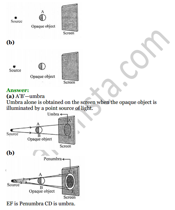 Selina Concise Physics Class 6 ICSE Solutions Chapter 5 Light 15