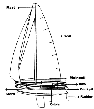 NCERT Solutions for Class 11 English Hornbill Chapter 2 We’re Not ...