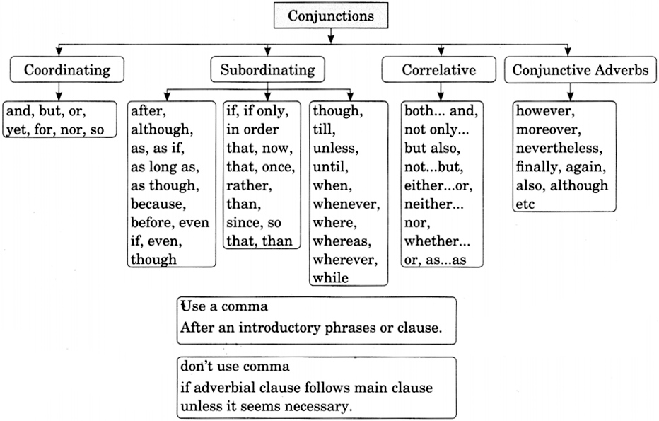 Conjunctions Exercises For Class 8