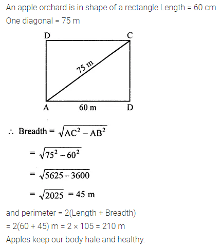ML Aggarwal Class 7 ICSE Maths Model Question Paper 4 14