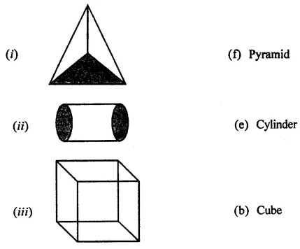 ML Aggarwal Class 7 Solutions for ICSE Maths Chapter 15 Visualising Solid Shapes Ex 15.1 3