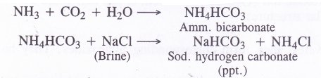 NCERT Solutions for Class 11 Chemistry Chapter 10 The s-Block Elements 48