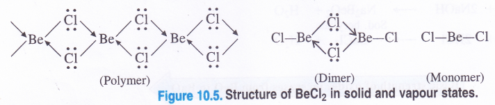 NCERT Solutions for Class 11 Chemistry Chapter 10 The s-Block Elements 54