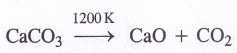 NCERT Solutions for Class 11 Chemistry Chapter 10 The s-Block Elements 55