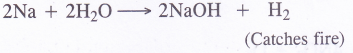 NCERT Solutions for Class 11 Chemistry Chapter 10 The s-Block Elements 59