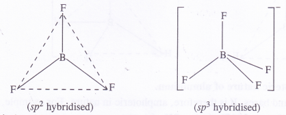 NCERT Solutions for Class 11 Chemistry Chapter 11 The p-Block Elements 11