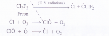 NCERT Solutions for Class 11 Chemistry Chapter 14 Environmental Chemistry 3