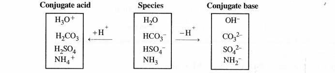 NCERT Solutions for Class 11 Chemistry Chapter 7 Equilibrium 32