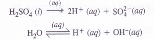 NCERT Solutions for Class 11 Chemistry Chapter 8 Redox Reactions 43