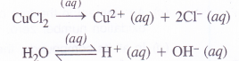 NCERT Solutions for Class 11 Chemistry Chapter 8 Redox Reactions 44