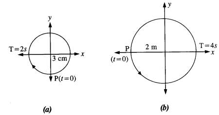 NCERT Solutions for Class 11 Physics Chapter 14 Oscillations 10