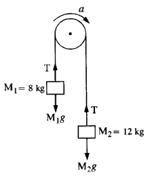 NCERT Solutions for Class 11 Physics Chapter 5 Laws of Motion 13