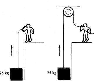 NCERT Solutions for Class 11 Physics Chapter 5 Laws of Motion 27