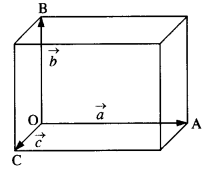 NCERT Solutions for Class 11 Physics Chapter 7 System of Particles and Rotational Motion 5